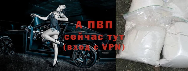 ПСИЛОЦИБИНОВЫЕ ГРИБЫ Зеленодольск