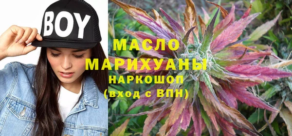 дмт Инта