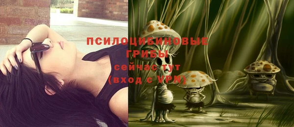 ПСИЛОЦИБИНОВЫЕ ГРИБЫ Зеленодольск
