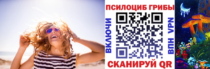 Купить закладки  Николаевск  Галлюциногенные грибы мухоморы 