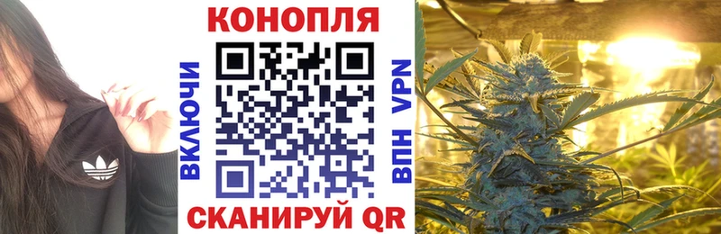 Шишки марихуана Bruce Banner Николаевск